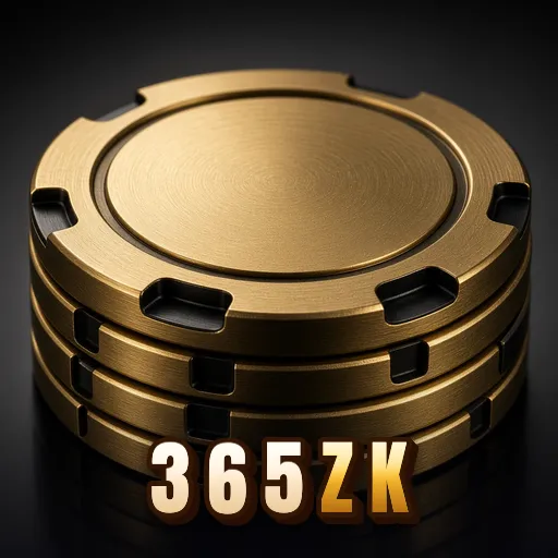 365zk Security Analysis
